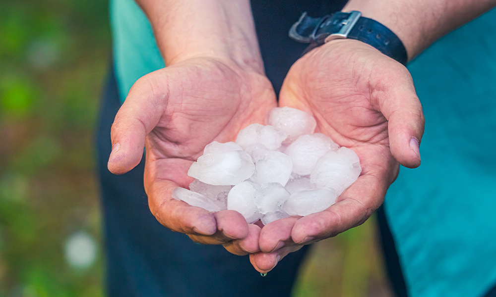 a person holding large balls of hail