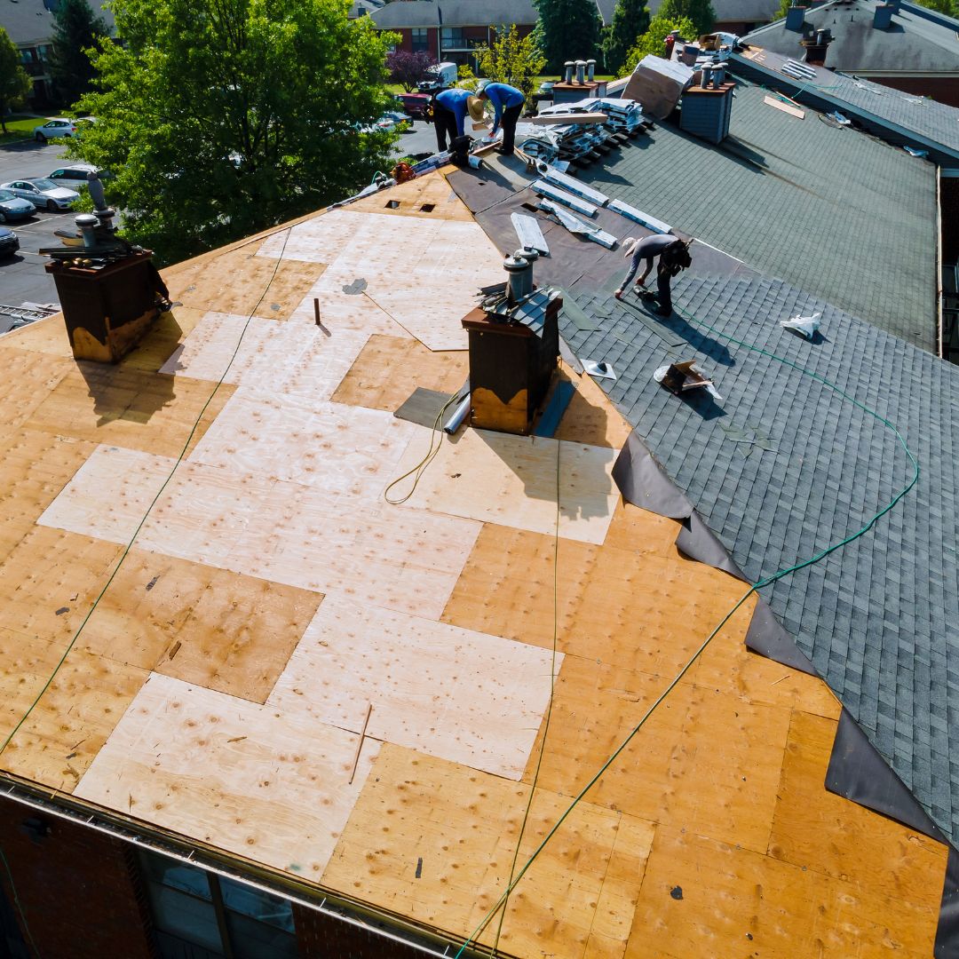 roofers replacing shingles
