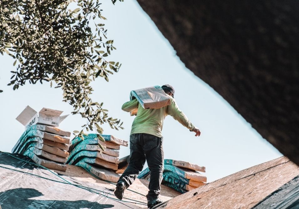 lrg img 2 - Longmont